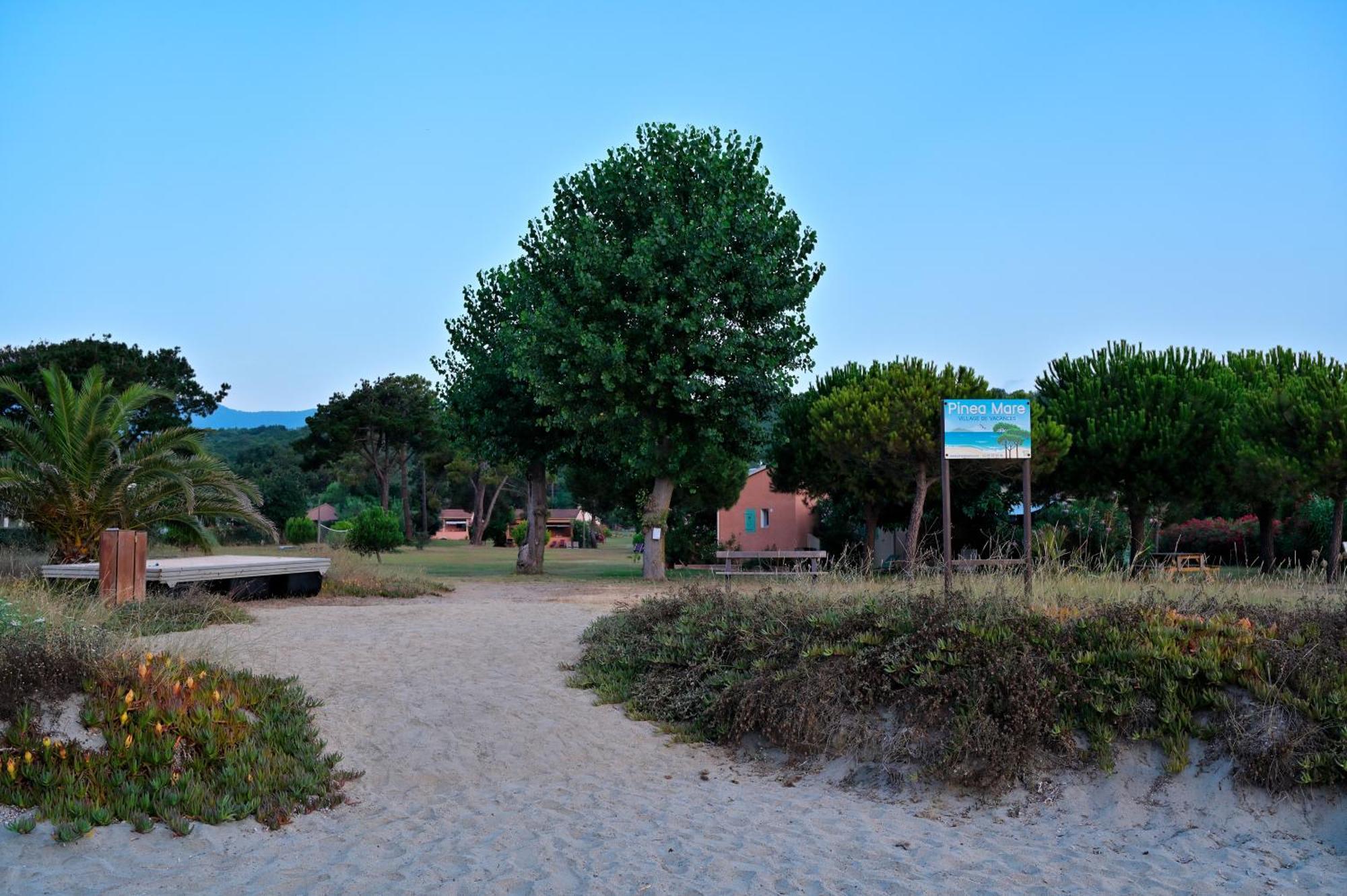 Pinea Mare Hotel Poggio Mezzana Exterior photo
