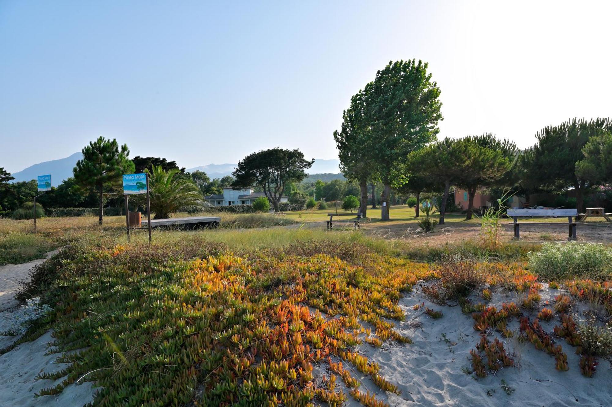 Pinea Mare Hotel Poggio Mezzana Exterior photo