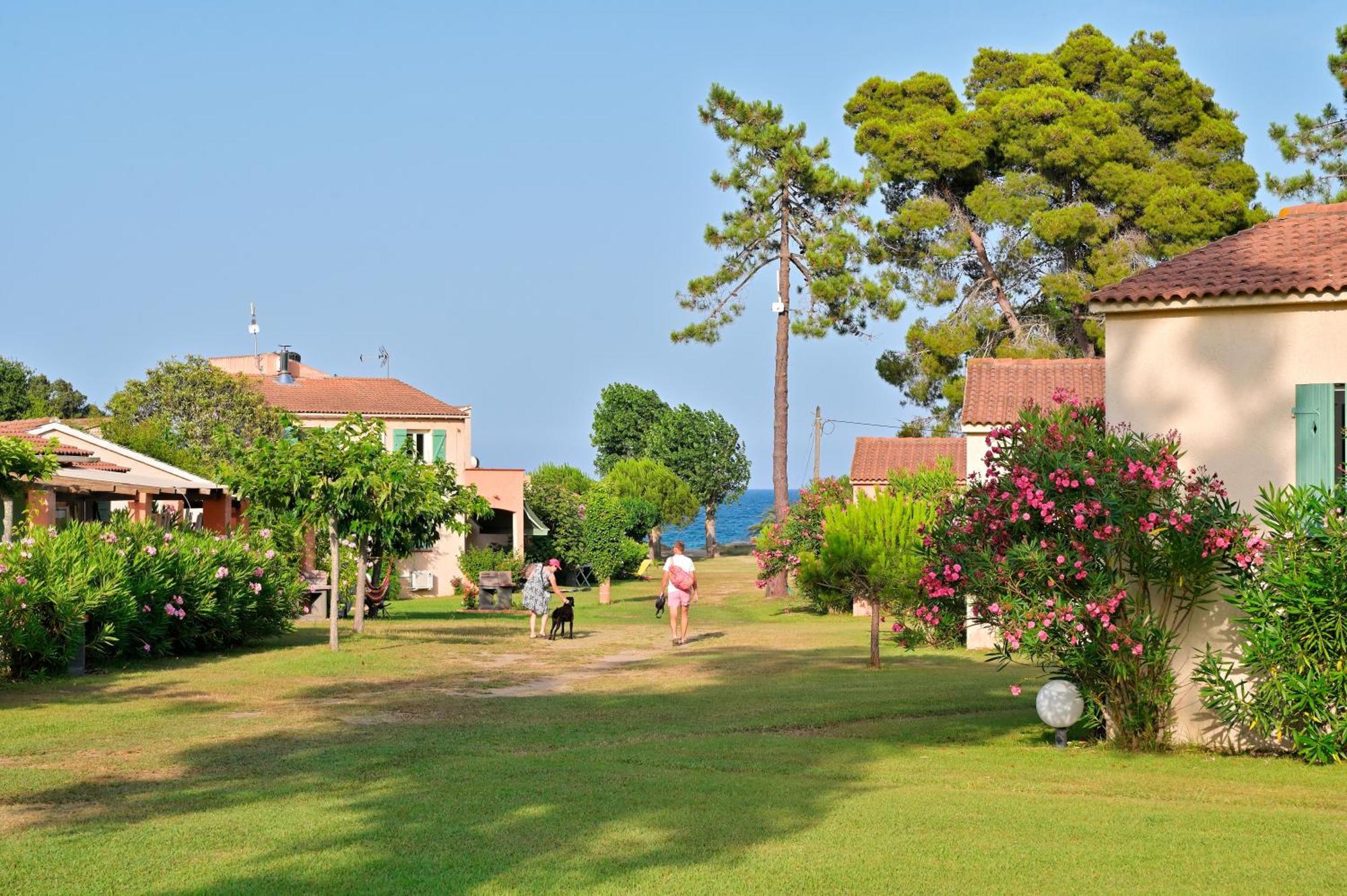 Pinea Mare Hotel Poggio Mezzana Exterior photo